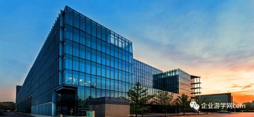 探索“簡單可依賴”的互聯網搜索產品及美術圖案設計服務